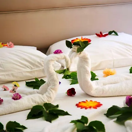 Sea Bird & Отель