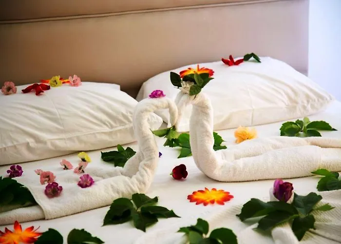 Sea Bird & 3* Дидим